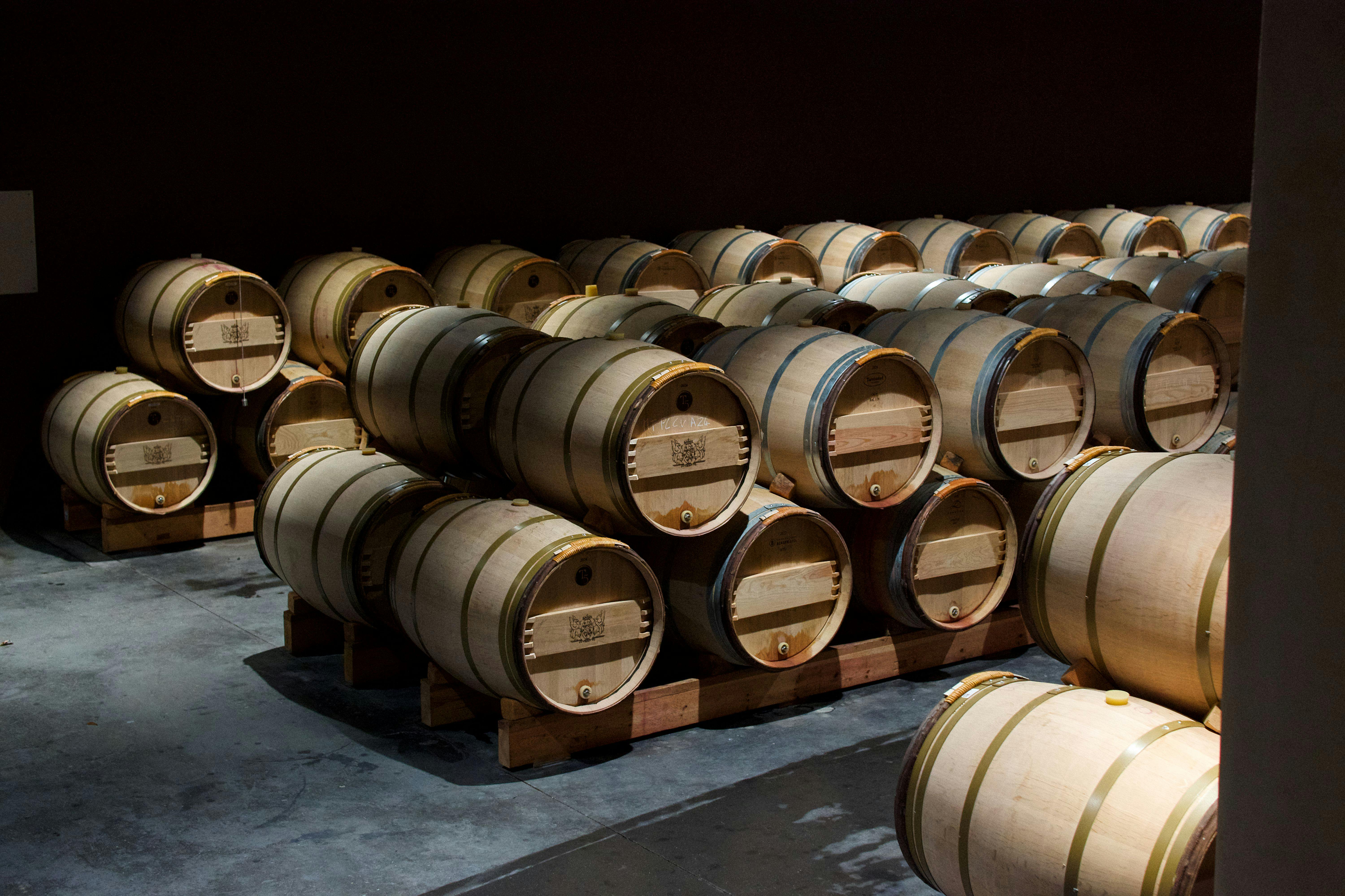 Wine barrels in cellar
